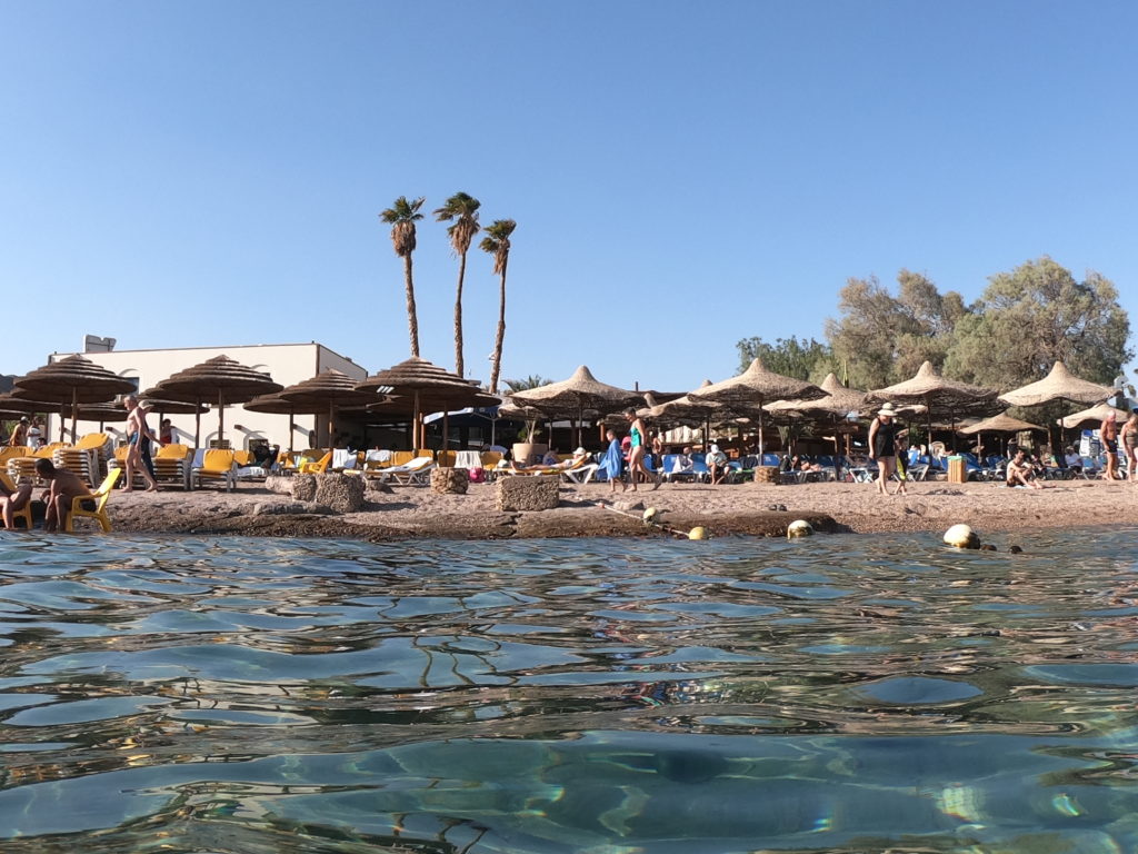 Snorkeling Coral Reef Eilat Red Sea - Gallivanting Goldies